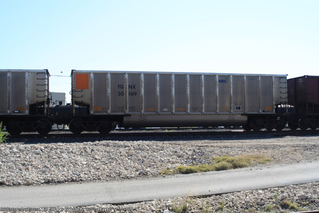 TGNX 30169